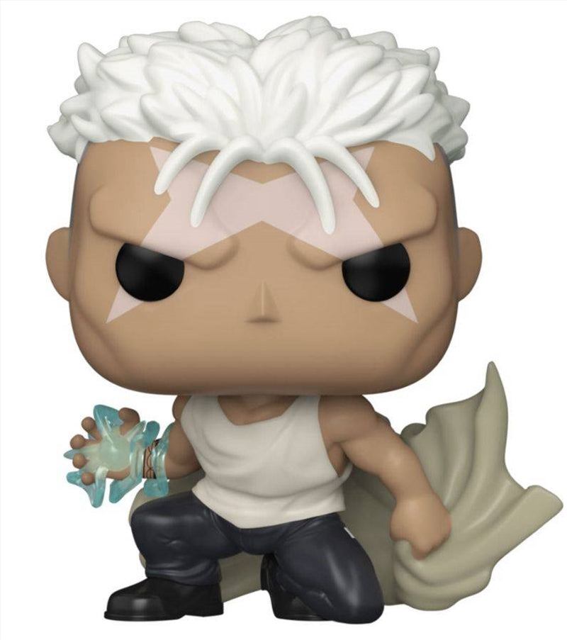 Fullmetal Alchemist: Brotherhood - Scar Pop Vinyl