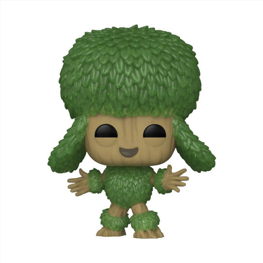 Poodle Groot
