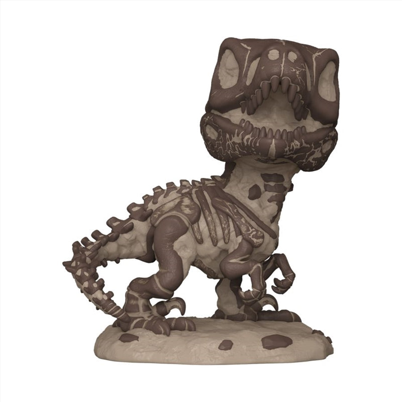 Jurassic Park - Velociraptor Fossil 6" Pop! Vinyl [RS]